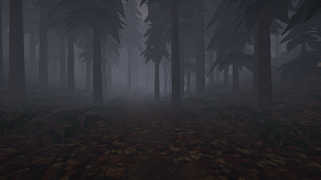 A leaf-covered trail through tall dark pines